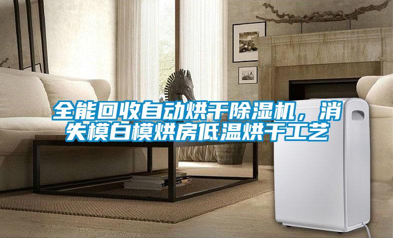 全能回收自動烘干除濕機(jī),消失模白模烘房低溫烘干工藝