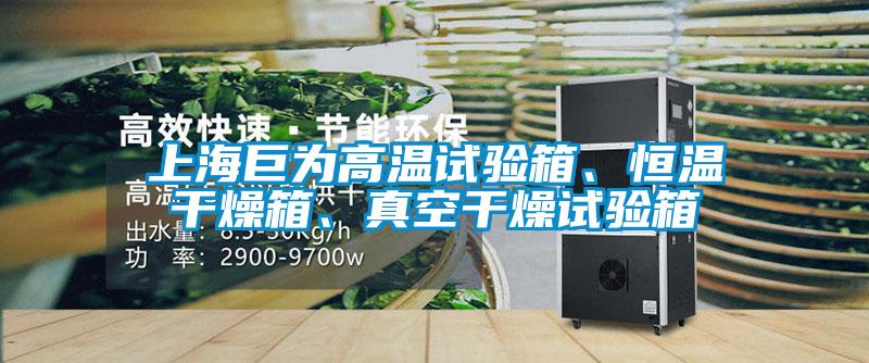 上海巨為高溫試驗箱、恒溫干燥箱、真空干燥試驗箱
