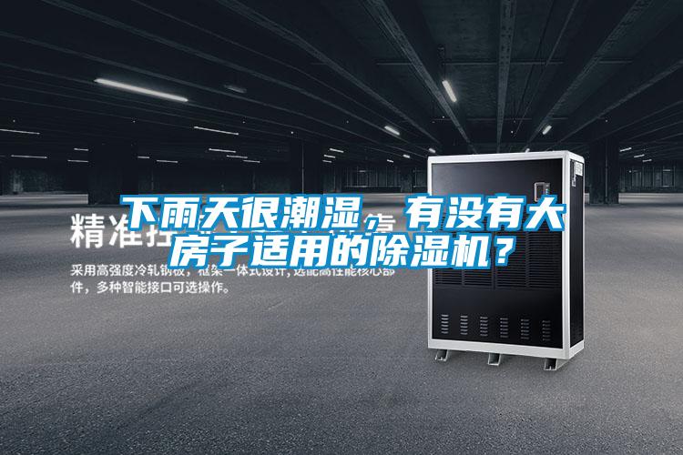 下雨天很潮濕,有沒有大房子適用的除濕機?