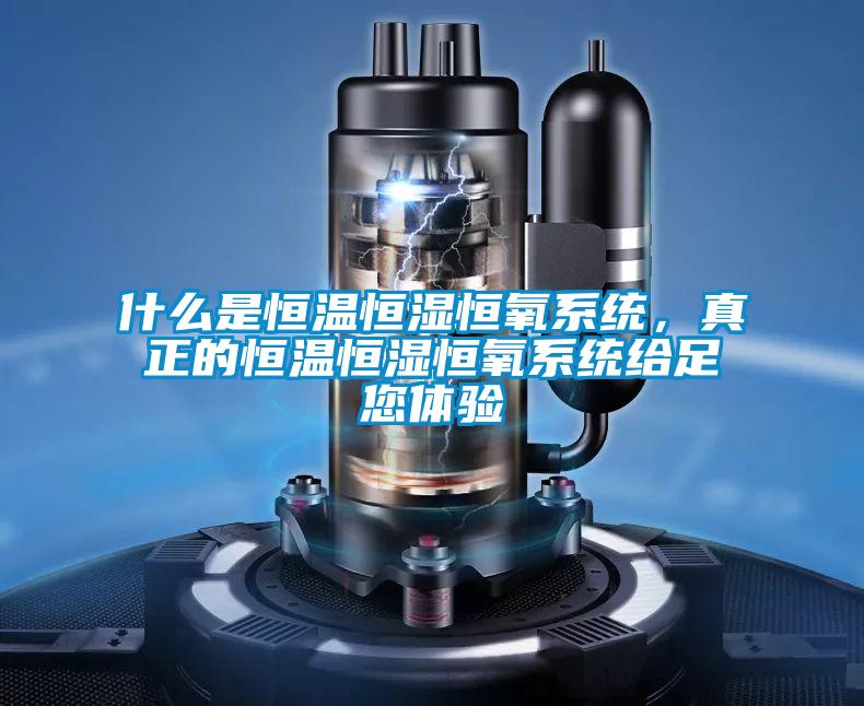 什么是恒溫恒濕恒氧系統(tǒng)，真正的恒溫恒濕恒氧系統(tǒng)給足您體驗(yàn)