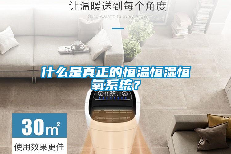 什么是真正的恒溫恒濕恒氧系統？