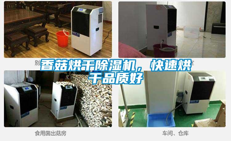 香菇烘干除濕機，快速烘干品質好
