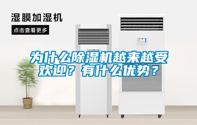 為什么除濕機(jī)越來越受歡迎？有什么優(yōu)勢？