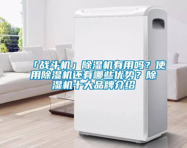 「戰斗機」除濕機有用嗎？使用除濕機還有哪些優勢？除濕機十大品牌介紹