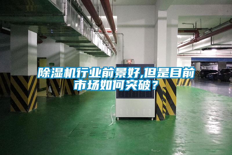 除濕機(jī)行業(yè)前景好,但是目前市場(chǎng)如何突破？