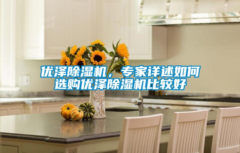 優澤除濕機，專家詳述如何選購優澤除濕機比較好