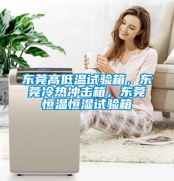 東莞高低溫試驗(yàn)箱，東莞冷熱沖擊箱，東莞恒溫恒濕試驗(yàn)箱