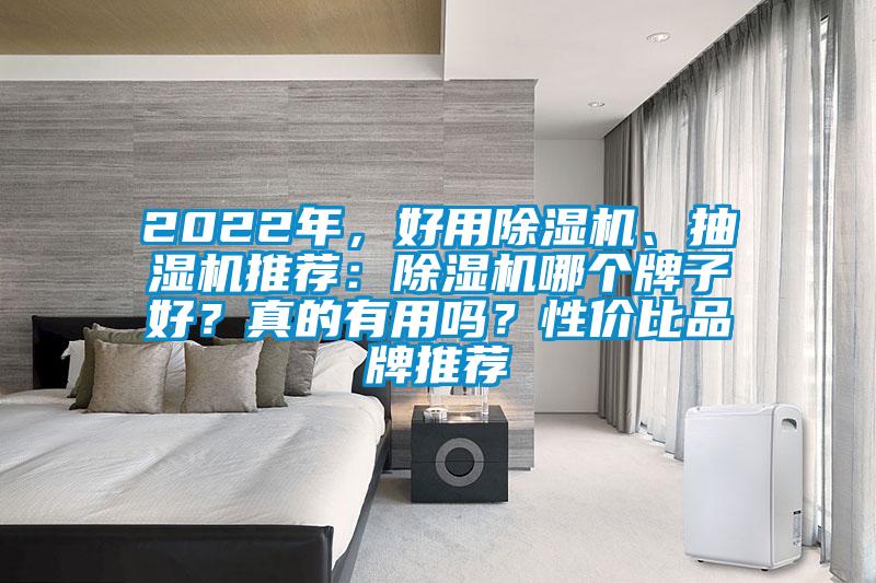2022年，好用除濕機(jī)、抽濕機(jī)推薦：除濕機(jī)哪個(gè)牌子好？真的有用嗎？性?xún)r(jià)比品牌推薦