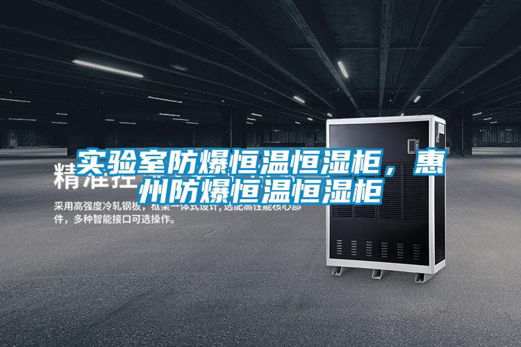 實驗室防爆恒溫恒濕柜，惠州防爆恒溫恒濕柜