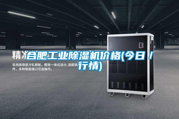 合肥工業(yè)除濕機(jī)價格(今日/行情)