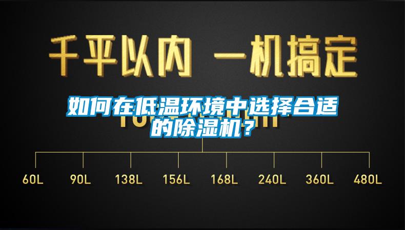 如何在低溫環(huán)境中選擇合適的除濕機(jī)?