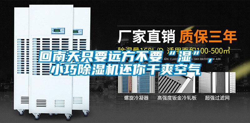 回南天只要遠方不要“濕”，小巧除濕機還你干爽空氣