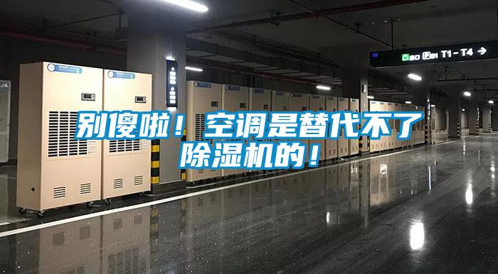 別傻啦!空調是替代不了除濕機的!