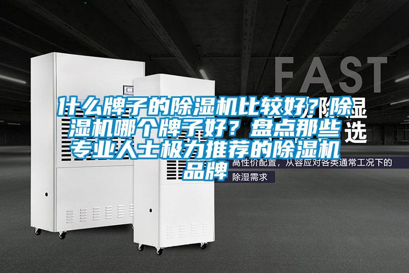 什么牌子的除濕機比較好？除濕機哪個牌子好？盤點那些專業(yè)人士極力推薦的除濕機品牌