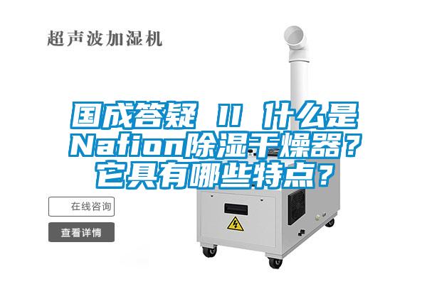 國成答疑 II 什么是Nafion除濕干燥器?它具有哪些特點?