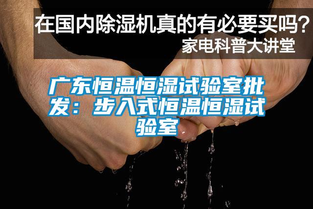 廣東恒溫恒濕試驗室批發:步入式恒溫恒濕試驗室