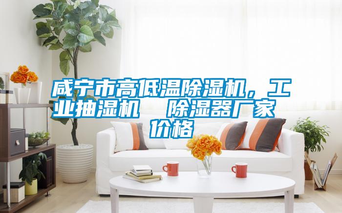 咸寧市高低溫除濕機(jī),工業(yè)抽濕機(jī) 除濕器廠家 價(jià)格