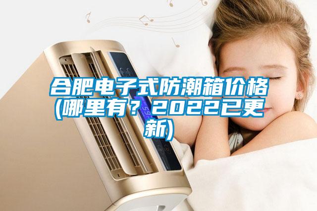 合肥電子式防潮箱價格(哪里有？2022已更新)