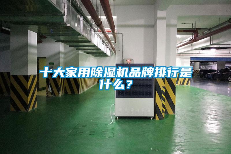 十大家用除濕機(jī)品牌排行是什么?