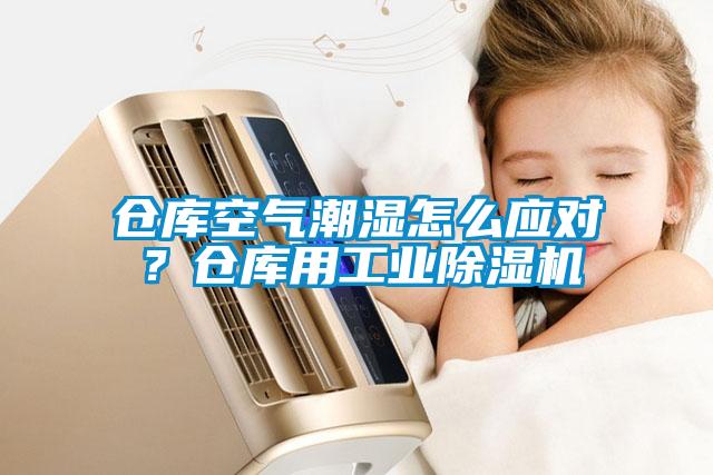 倉庫空氣潮濕怎么應對？倉庫用工業(yè)除濕機
