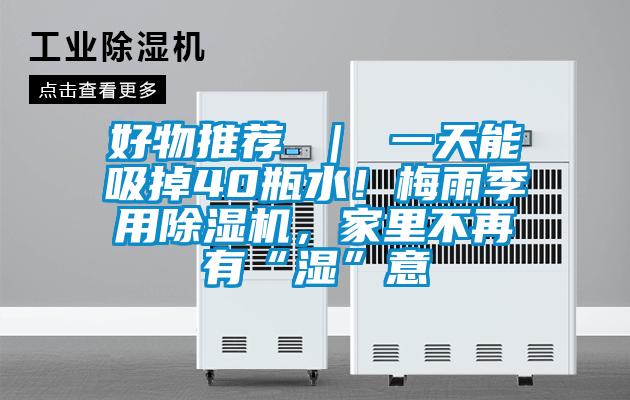 好物推薦 | 一天能吸掉40瓶水!梅雨季用除濕機,家里不再有“濕”意