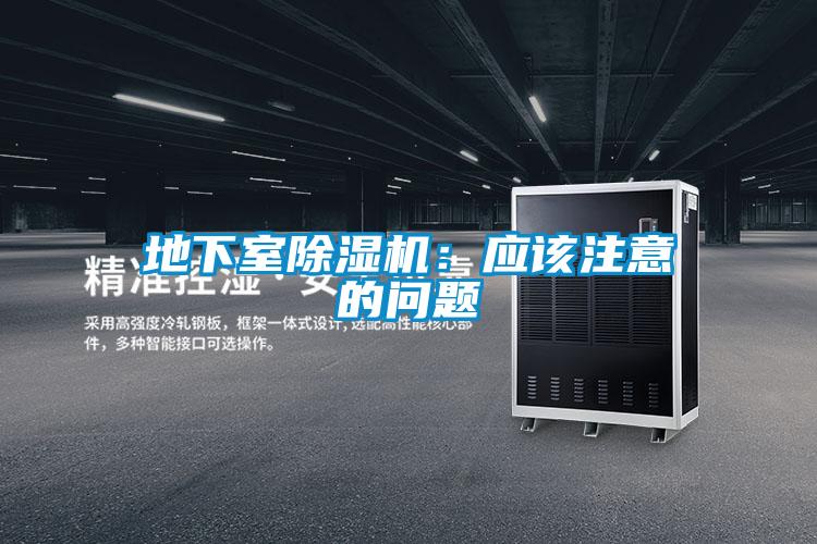 地下室除濕機:應該注意的問題