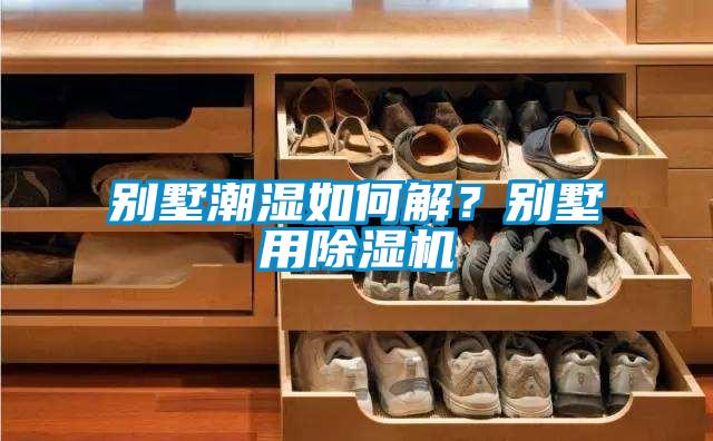 別墅潮濕如何解?別墅用除濕機