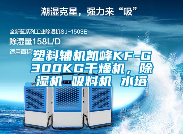 塑料輔機凱峰KF-G300KG干燥機，除濕機 吸料機 水塔