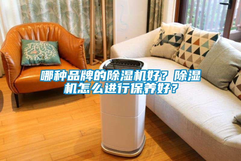 哪種品牌的除濕機好?除濕機怎么進行保養好?