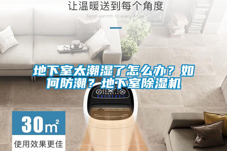 地下室太潮濕了怎么辦?如何防潮?地下室除濕機