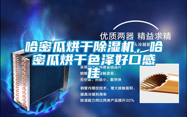 哈密瓜烘干除濕機(jī),哈密瓜烘干色澤好口感佳