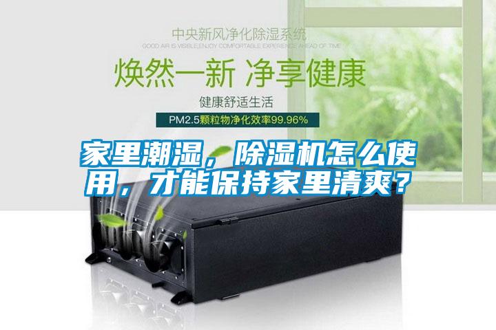 家里潮濕，除濕機(jī)怎么使用，才能保持家里清爽？