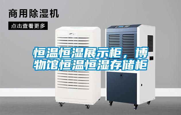 恒溫恒濕展示柜，博物館恒溫恒濕存儲(chǔ)柜
