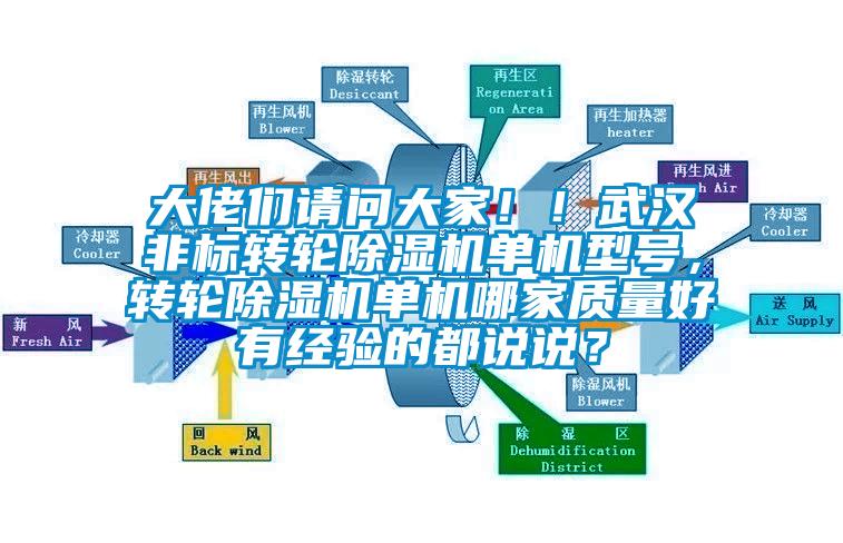 大佬們請問大家！！武漢非標轉輪除濕機單機型號，轉輪除濕機單機哪家質量好有經驗的都說說？