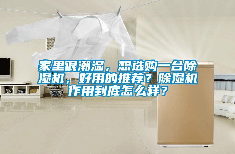 家里很潮濕，想選購一臺除濕機，好用的推薦？除濕機作用到底怎么樣？