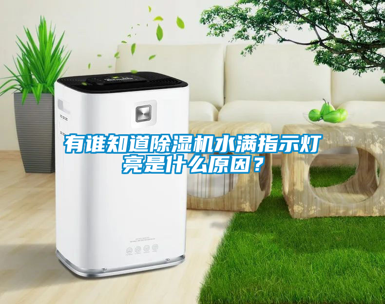 有誰知道除濕機水滿指示燈亮是什么原因?
