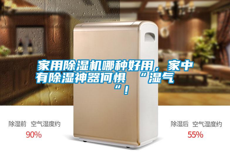 家用除濕機哪種好用，家中有除濕神器何懼 “濕氣 “！