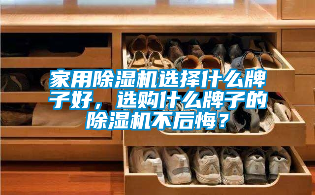 家用除濕機(jī)選擇什么牌子好,選購什么牌子的除濕機(jī)不后悔?