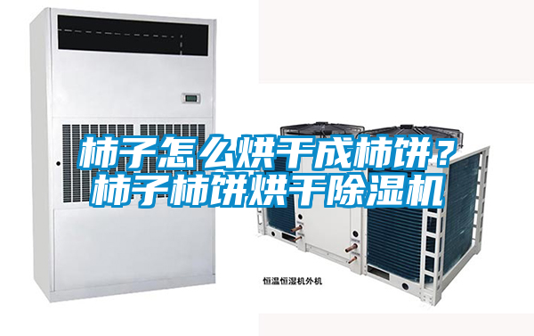 柿子怎么烘干成柿餅？柿子柿餅烘干除濕機