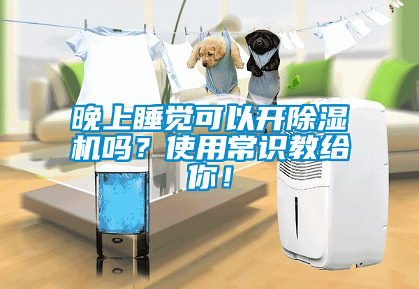 晚上睡覺可以開除濕機嗎？使用常識教給你！