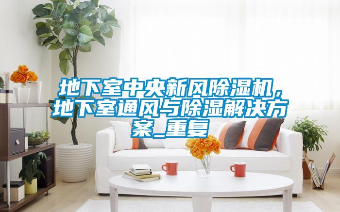 地下室中央新風除濕機，地下室通風與除濕解決方案_重復