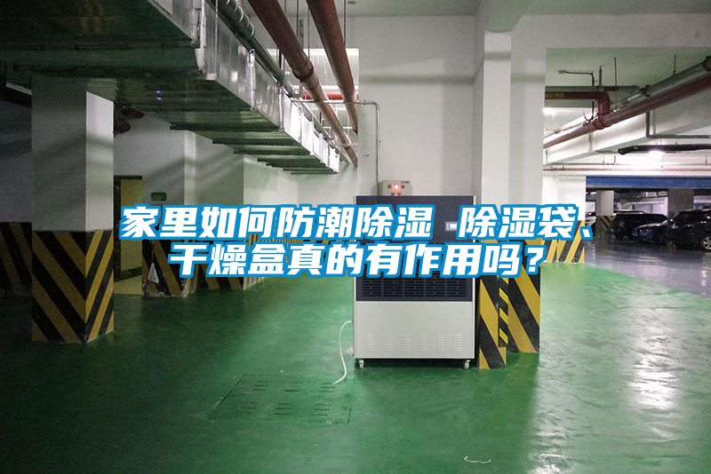 家里如何防潮除濕 除濕袋、干燥盒真的有作用嗎？