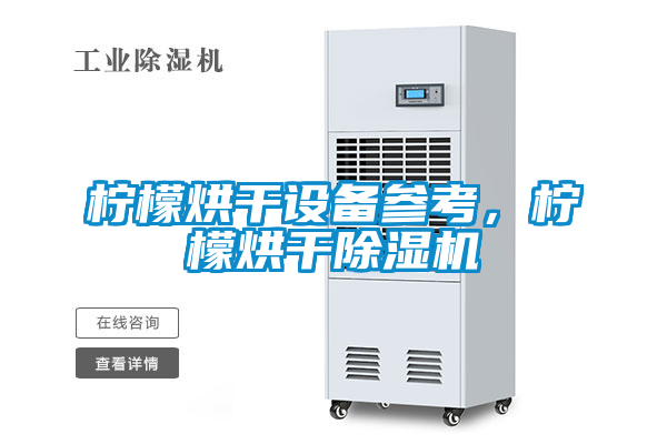 檸檬烘干設備參考，檸檬烘干除濕機