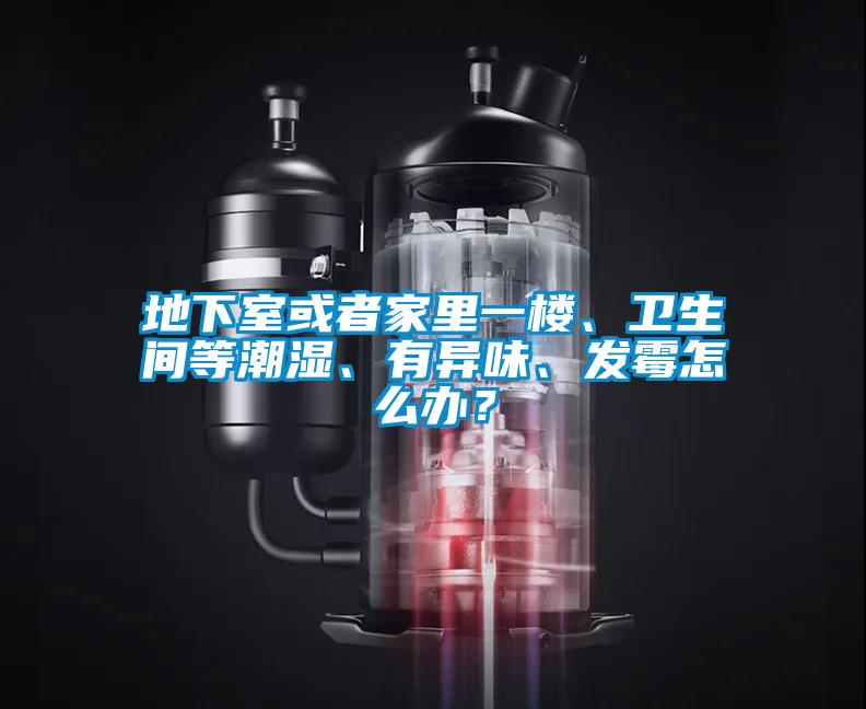 地下室或者家里一樓、衛(wèi)生間等潮濕、有異味、發(fā)霉怎么辦？