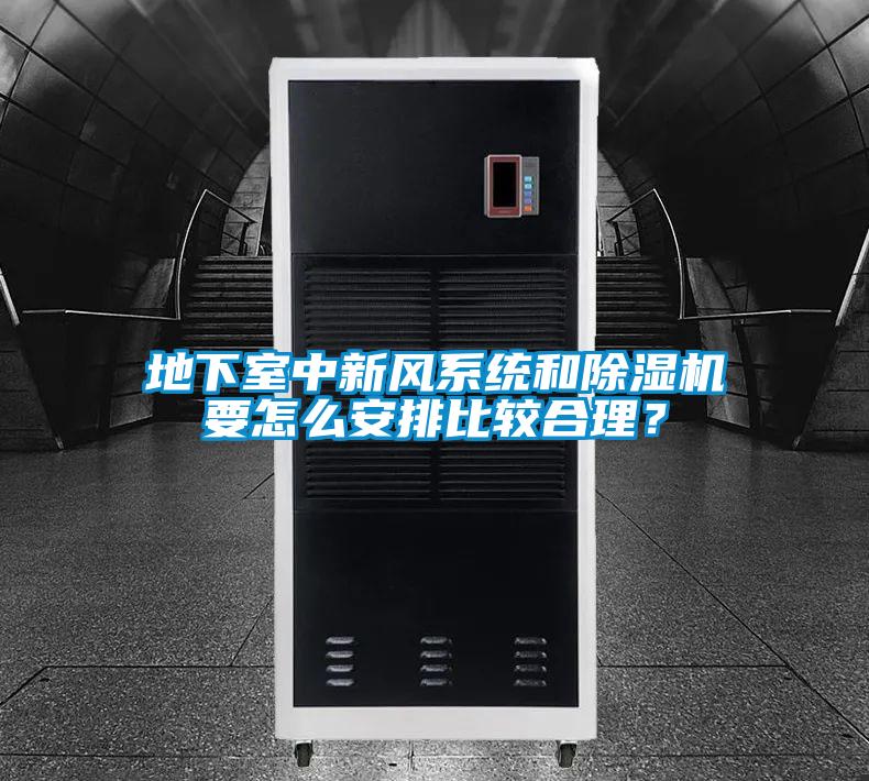 地下室中新風(fēng)系統(tǒng)和除濕機要怎么安排比較合理？