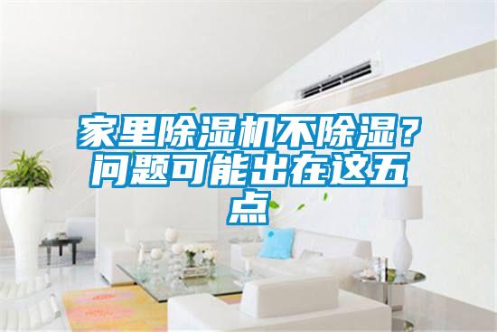 家里除濕機不除濕？問題可能出在這五點