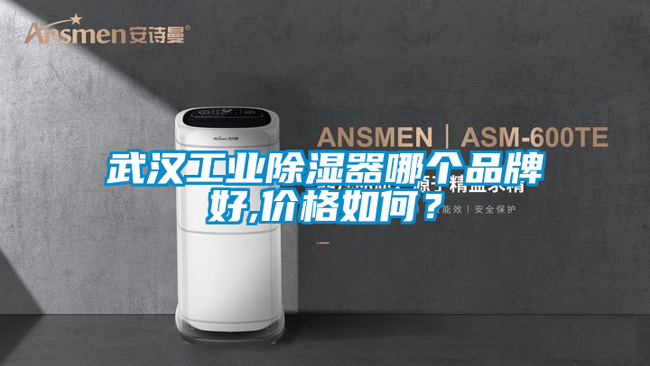 武漢工業除濕器哪個品牌好,價格如何？
