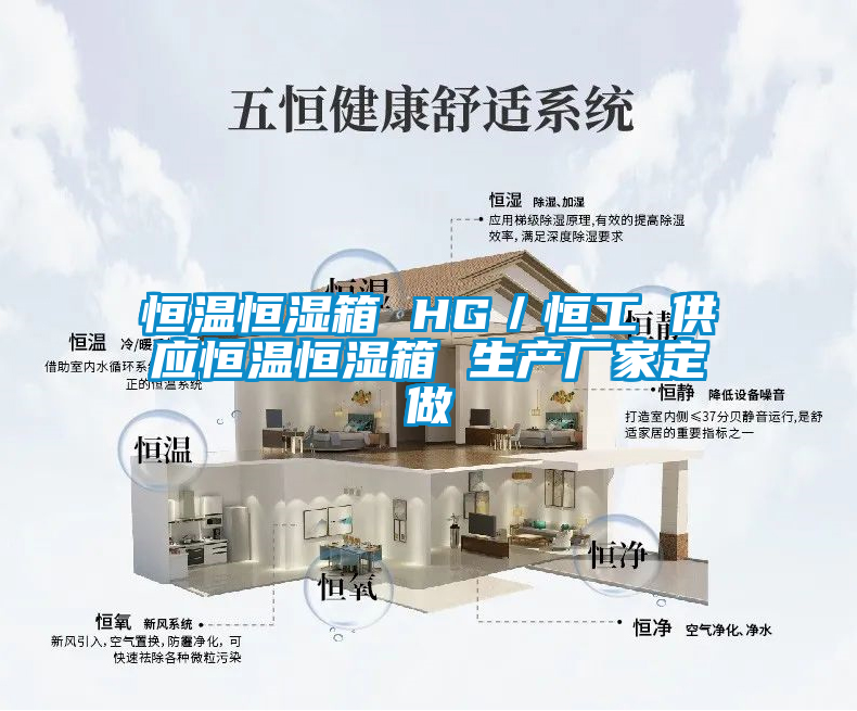 恒溫恒濕箱 HG/恒工 供應恒溫恒濕箱 生產廠家定做