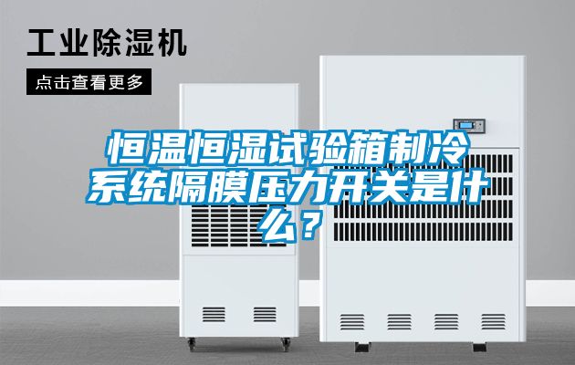 恒溫恒濕試驗(yàn)箱制冷系統(tǒng)隔膜壓力開關(guān)是什么？
