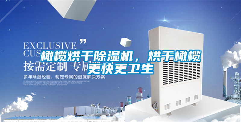 橄欖烘干除濕機，烘干橄欖更快更衛生